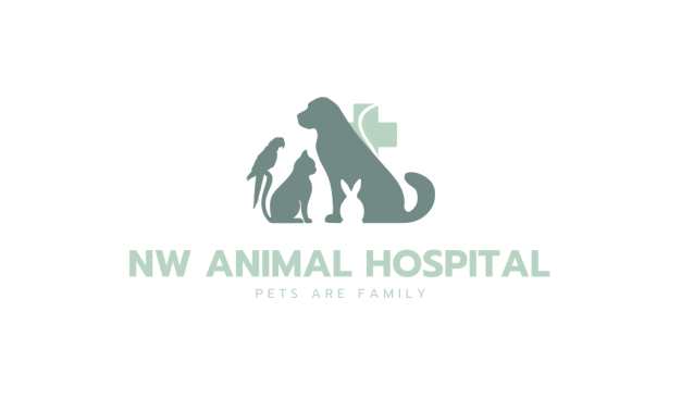 หางาน,สมัครงาน,งาน NW Animal hospital