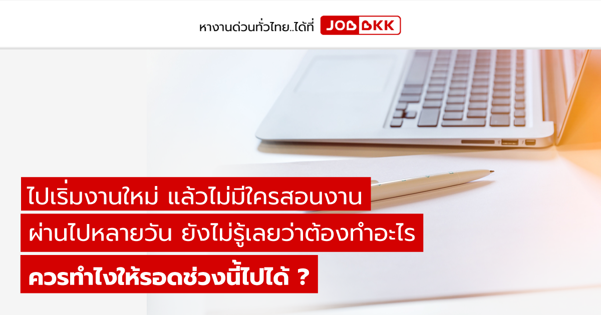 หางาน,สมัครงาน,งาน,ไปเริ่มงานใหม่ แล้วไม่มีใครสอนงาน ผ่านไปหลายวัน ยังไม่รู้เลยว่าต้องทำอะไร ควรทำไงให้รอดช่วงนี้ไปได้ ?